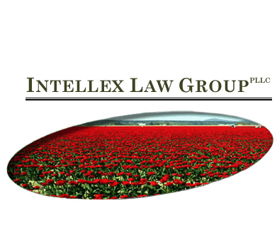 Intellex logo